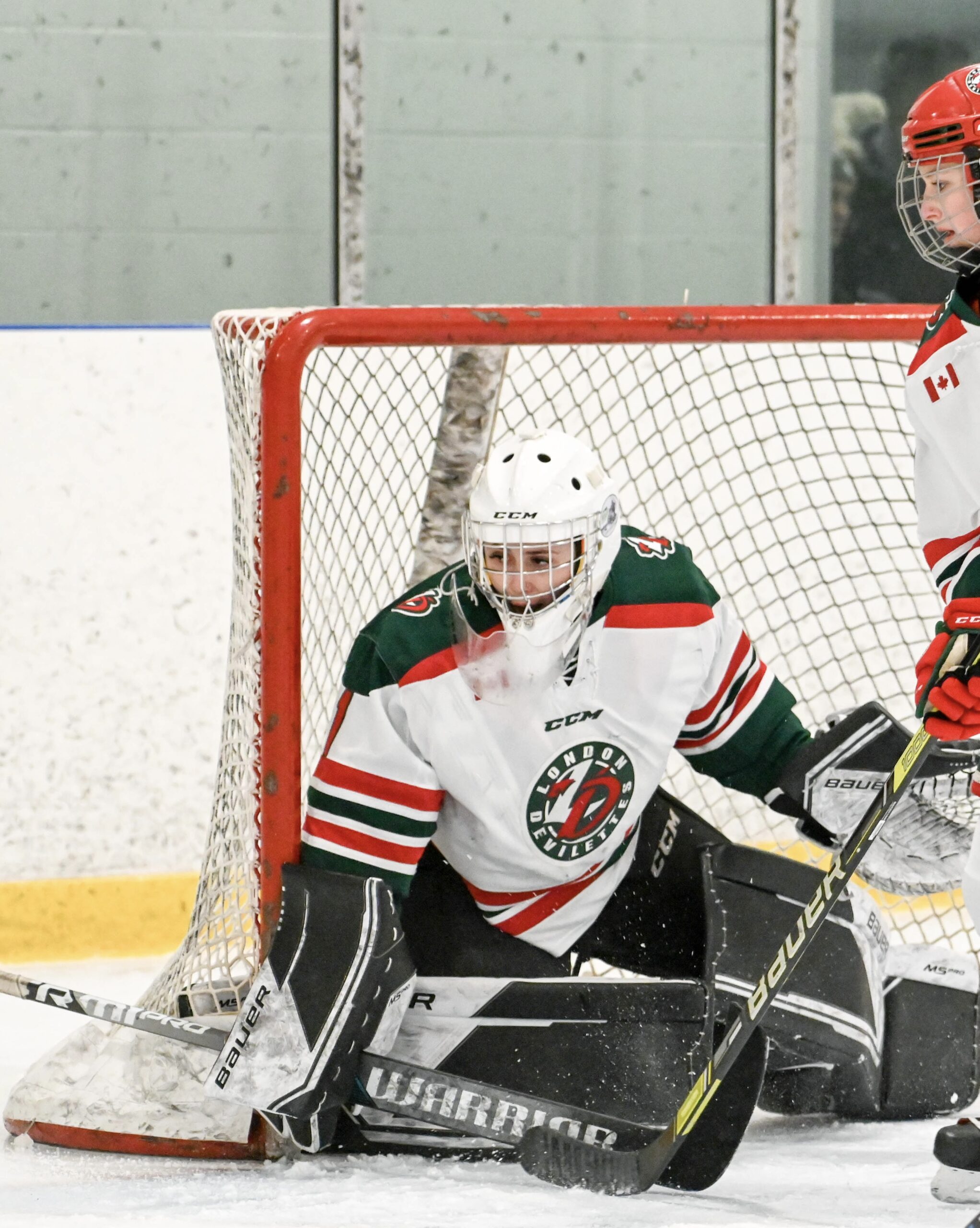 Taylor Van Den Nieuwenhuizen