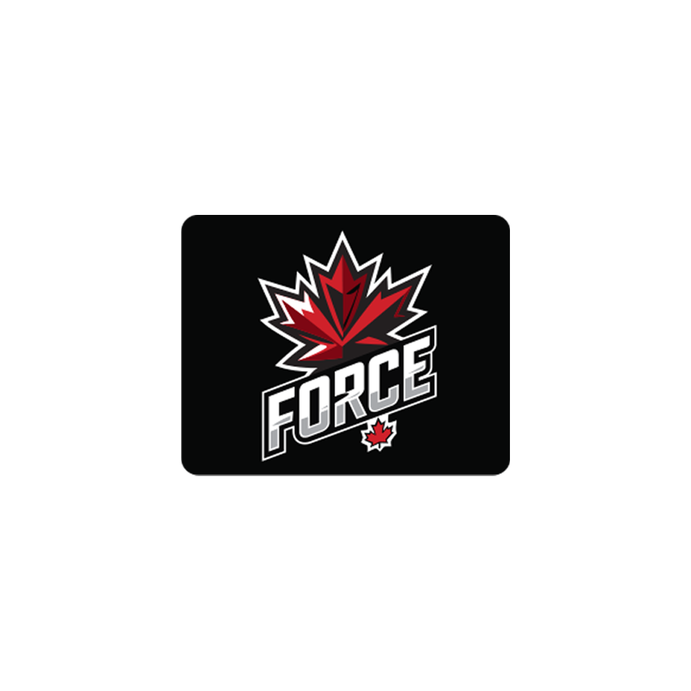 https://www.northernforcefastpitch.com/ logo