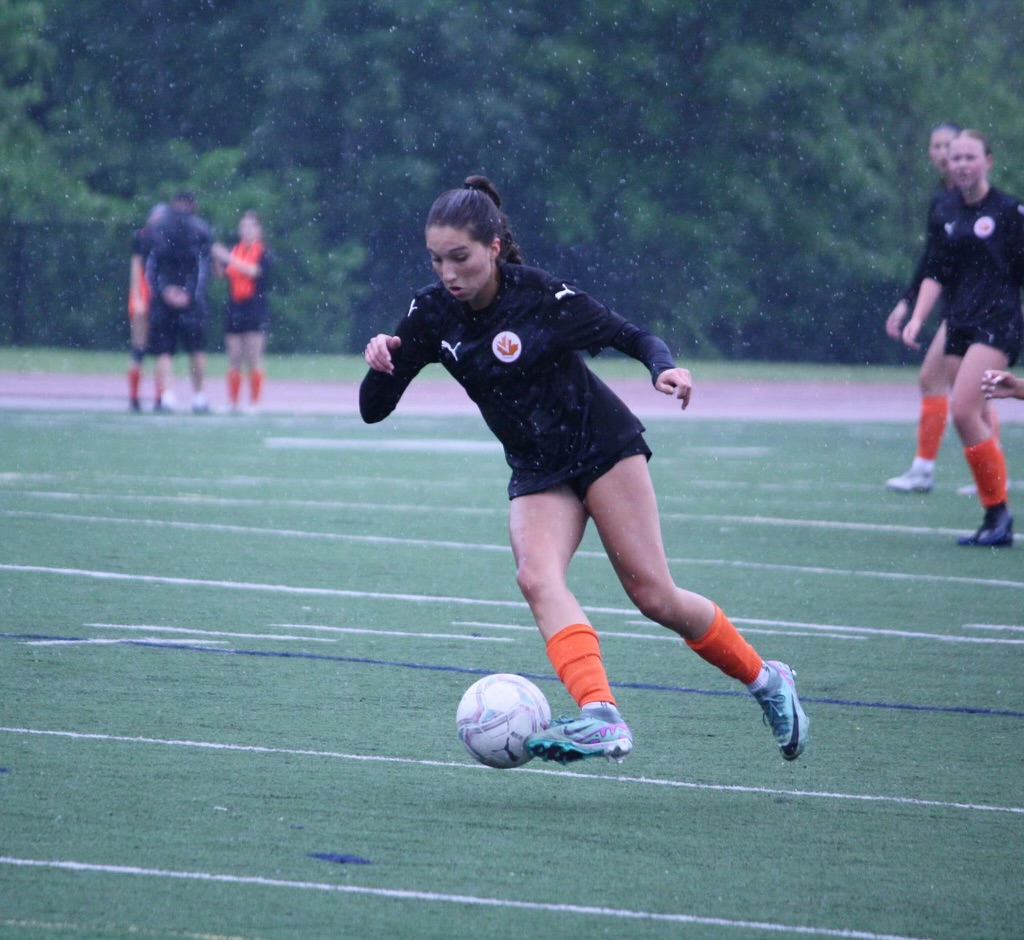 alejandra yallonardo