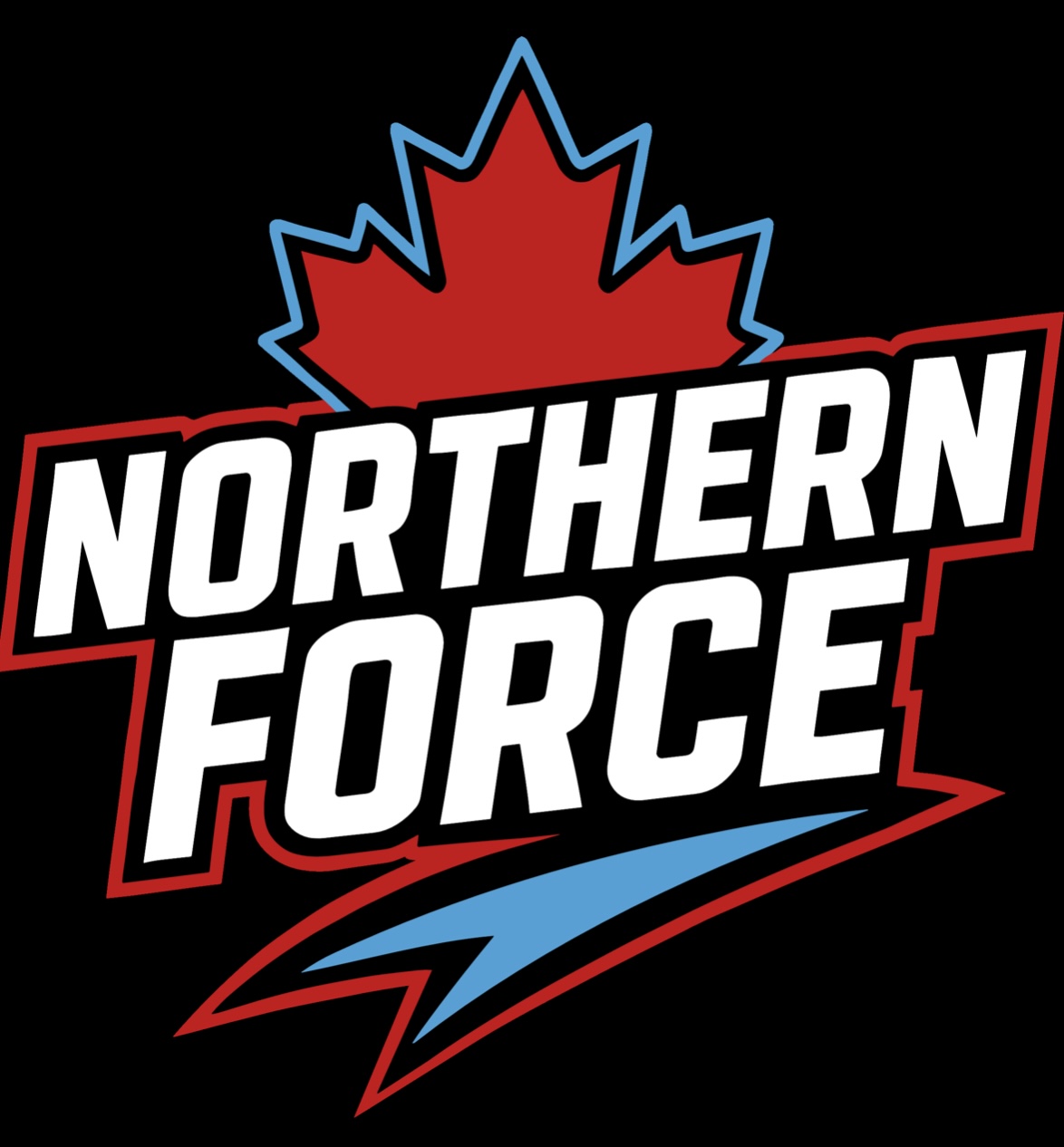 https://www.northernforcefastpitch.com/ logo